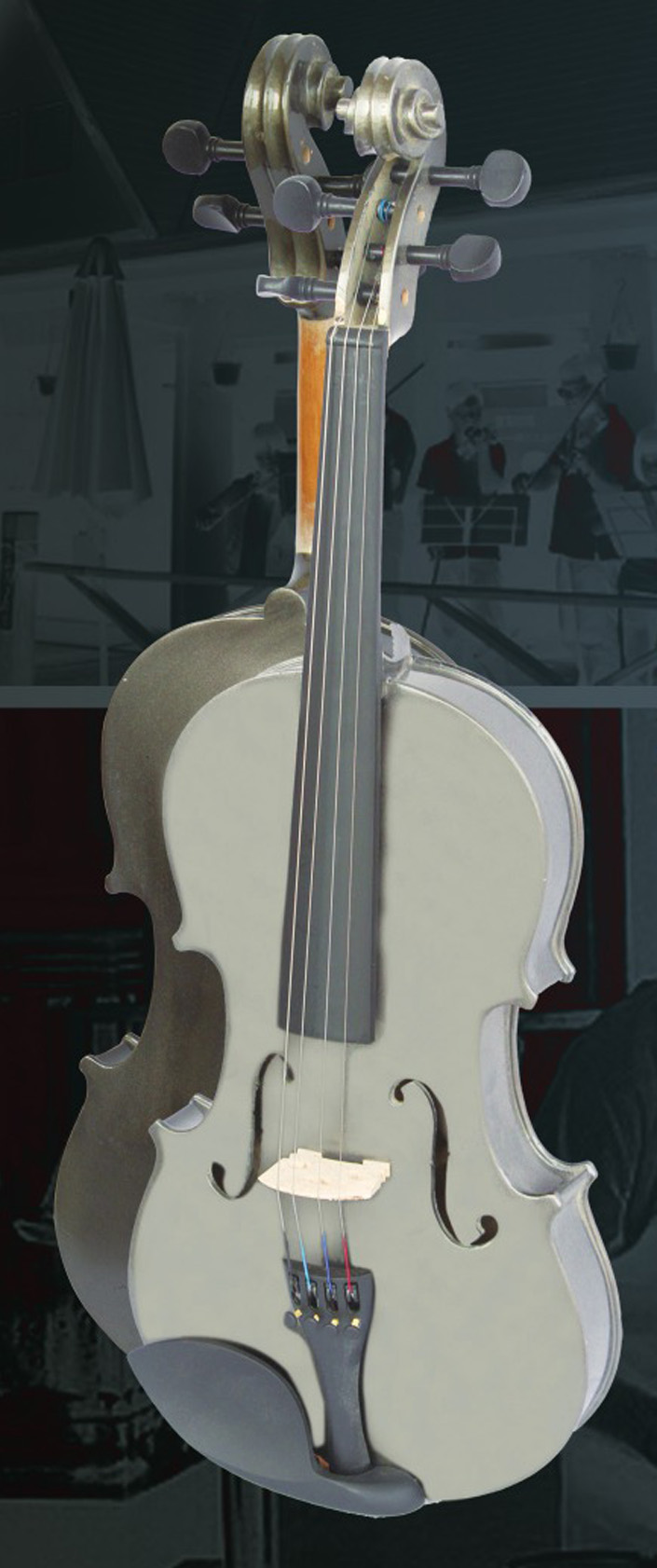 Violin